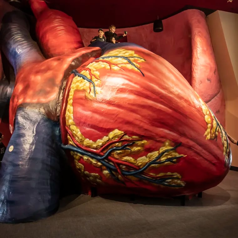 The beloved exhibit at the Franklin Institute is closing for six months. It will reopen in November as part of a new, permanent gallery on the human body.