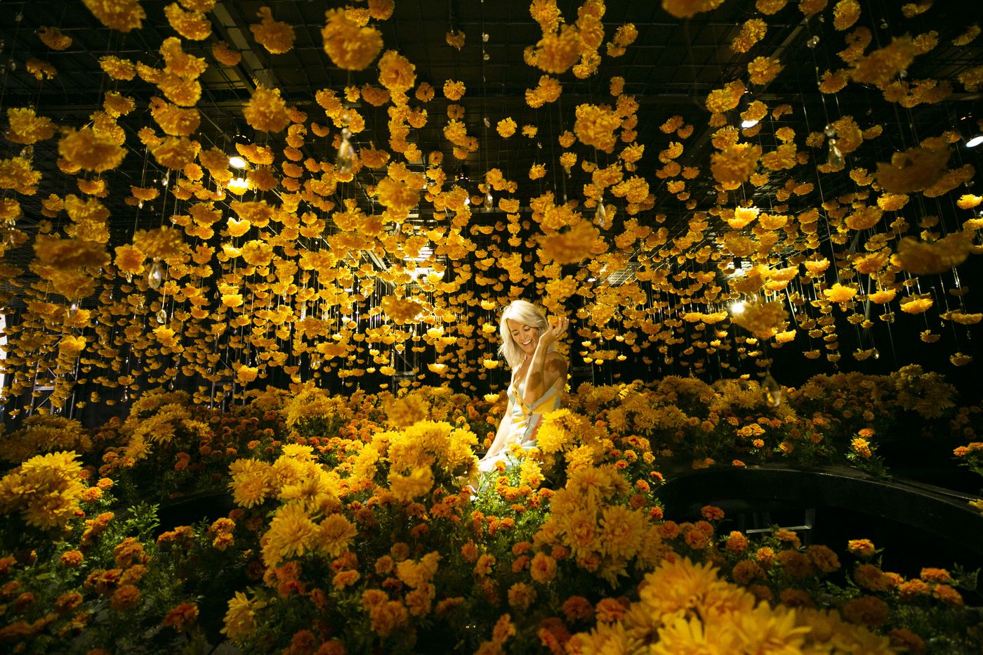 Things To Do In Philly Oct 4 10 Happy Place At Kop - 