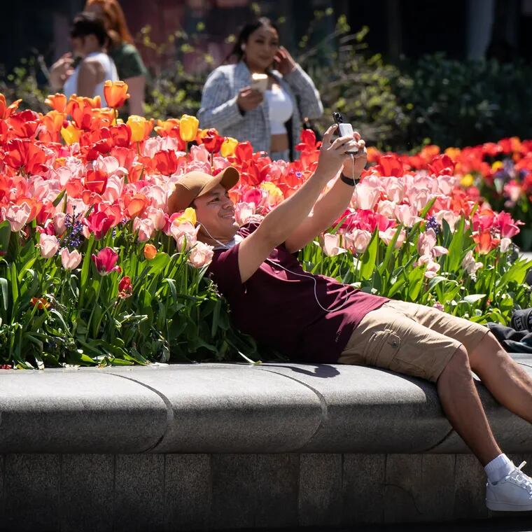 Jose Corea facetimes with his sister, showing her the beautiful flowers in front of City Hall.