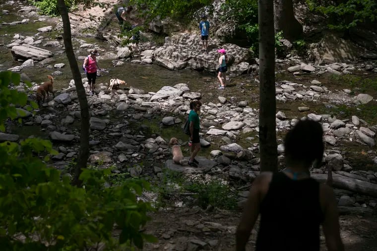 People hike along the Wissahickon Creek in May; unlike most fresh waterways in the nation, the Wissahickon has a very recognizable name.