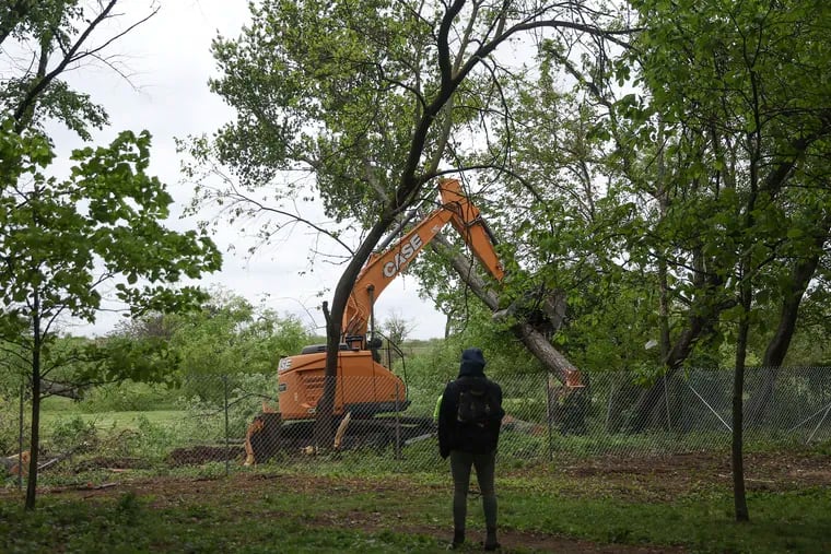 A tree is removed at the area known as the Meadows of FDR Park in South Philadelphia on Saturday morning. A group of people who follow the Coalition to Save the Meadows showed up in protest and to document the clearcutting of the area.