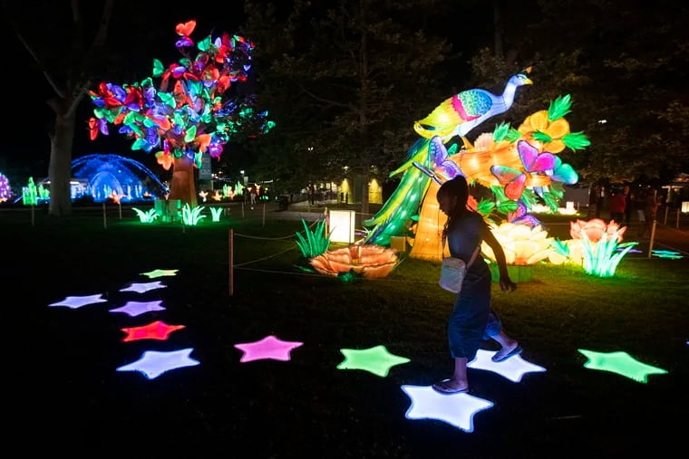 A young girls walks past a peacock on a walkway of stars during a preview for the Chinese Lantern Festival in Franklin Square. The festival officially opens Tuesday June 21, 2022 and will be open from 6pm until 11pm daily.