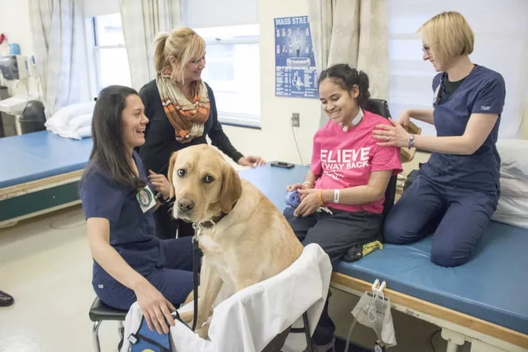 Grooming Kentucky helps patient Elizabeth Gomez strengthen her core. Kirsten Ondich, at left, is Kentucky&#039;s &quot;facilitator.&quot; Looking on are Vielka DiPietro, Gomez&#039;s translator,  and at right, physical therapist Deanna George at Magee Rehabilitation Hospital.