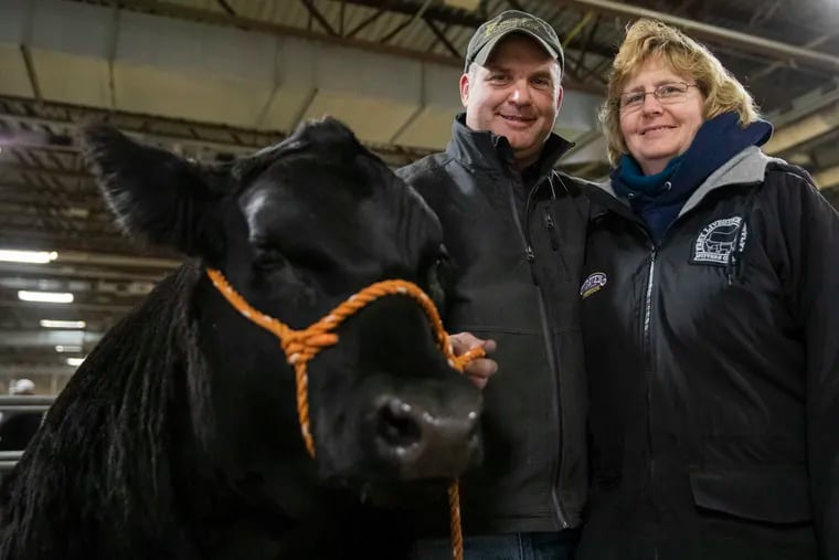 Fritz and Nancy Frey pose for a portrait with their steer across from their store, Frey Livestock Supply, at the Pennsylvania Farm Show in Harrisburg, PA on Tuesday, Jan. 08, 2019. The couple met at the Farm Show and fell in love there.