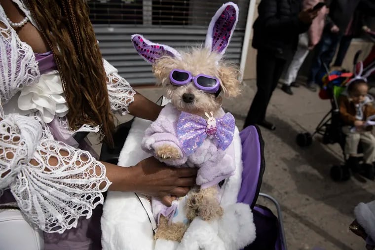 Latrice Bryant of Mt. Airy/Germantown, posed for a portrait with her 17-year-old dog named Coconut during the 91st annual Easter Promenade on South Street.