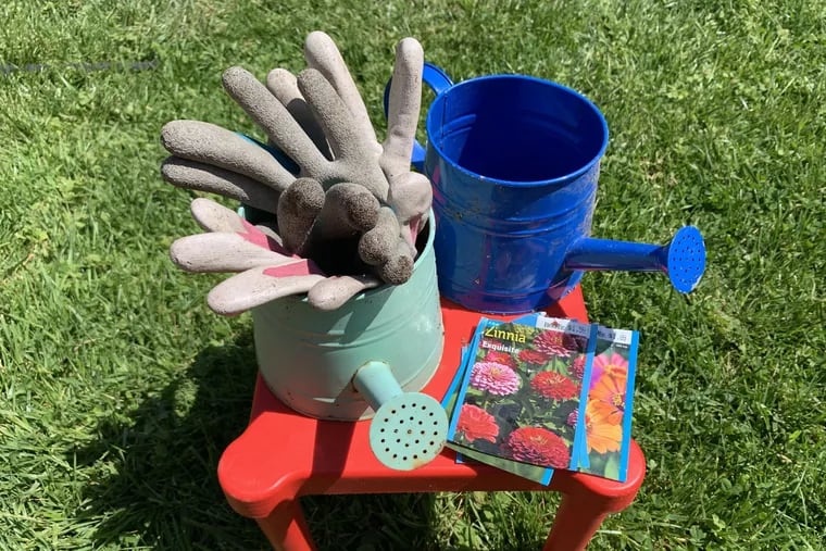 Gardening gloves, watering cans and Zinnia flower seeds for the May 2021 planting season.
