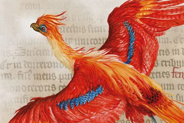 Detail from atudy of the phoenix by Jim Kay, with detail from Medieval Bestiary (England, 13th century)