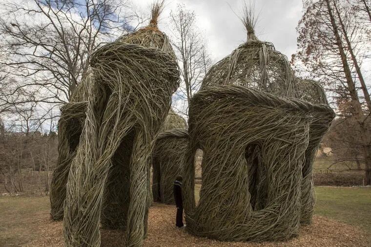 "A Waltz in the Woods" by Patrick Dougherty on display at the Morris Arboretum of the University of Pennsylvania in Philadelphia, PA. ( Colin Kerrigan / Philly.com )