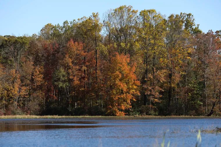 Changing leaves are seen across Hopewell Lake at French Creek State Park in Elverson, Pennsylvania in 2019.