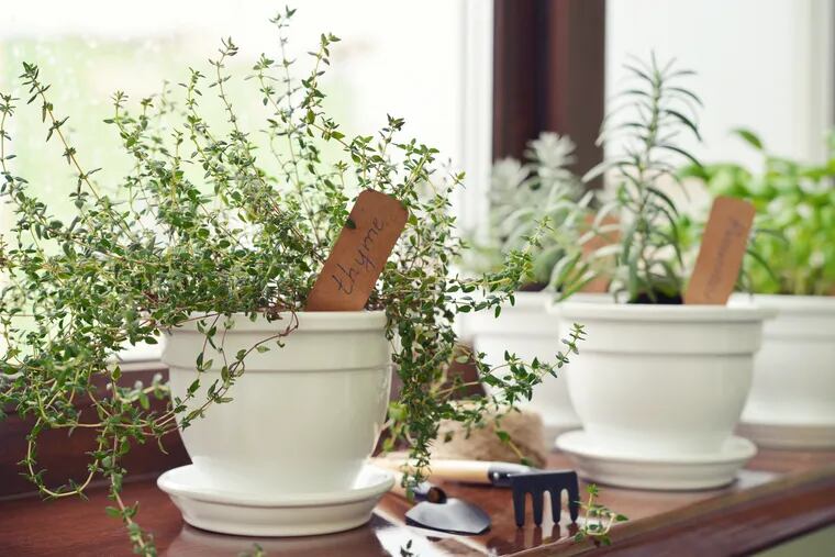 The first step of being a gracious guest is to know your host. Otherwise play it extremely safe. In addition to an astonishing variety of foods, people are allergic to anything from scents, pollen, wool, feathers, dust and much more. Plants are one option.