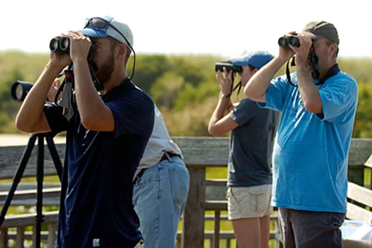 At Cape May Point State Park, birders followed hawks in the distance Wednesday, the first day of the annual hawk watch. The N.J. spot was No. 1 among readers of Birder's World magazine. The No. 2 pick? Hawk Mountain in Pa. (Ron Tarver/Staff)