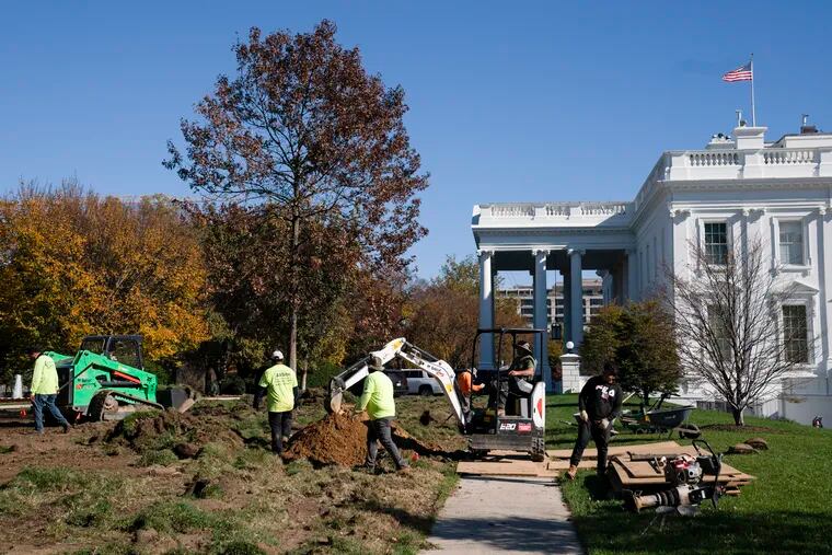 Landscapers work on replacing the lawn of the White House.