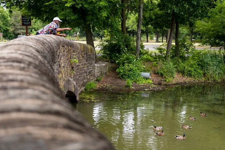 Luke Davis, a South Philadelphia native, feeds ducks at FDR Park. The park's redevelopment plan will bring much-needed improvements, writes the Editorial Board.