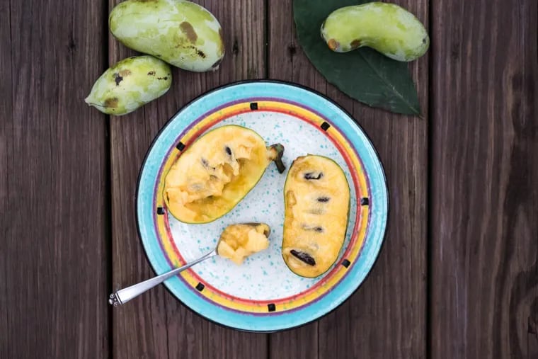 North America's largest edible native fruit, the pawpaw holds a tropical-like flavor, combining hints of papaya, mango, banana, and pineapple.