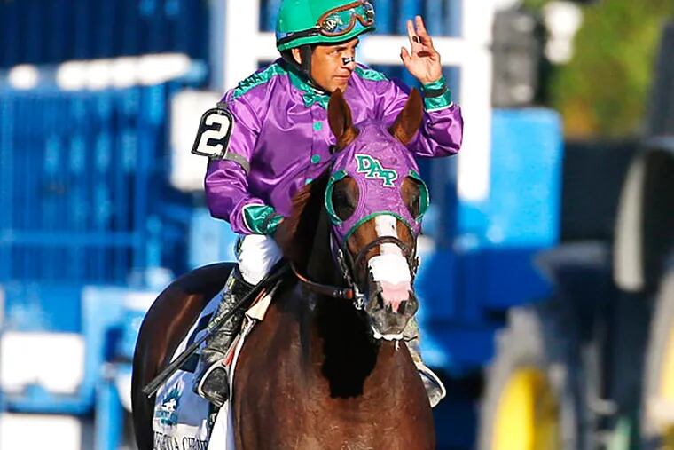 Victor Espinoza waves as he rides California Chrome after finishing fourth in the Belmont Stakes horse race, Saturday, June 7, 2014, in Elmont, N.Y. (Matt Slocum/AP)