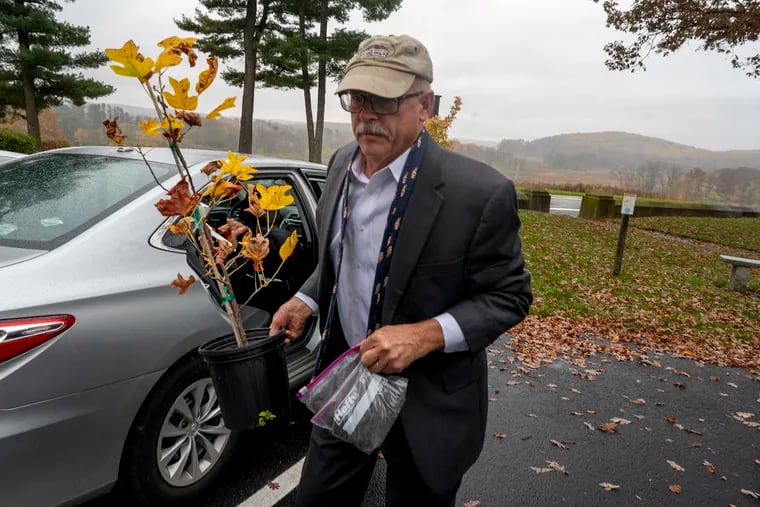 Dean Norton, the director of horticulture for Mount Vernon, arrives at Washington Memorial Chapel in Valley Forge National Historical Park on Sunday with a tulip poplar sapling, a direct descendant of one of George Washington's favorite trees at Mount Vernon.