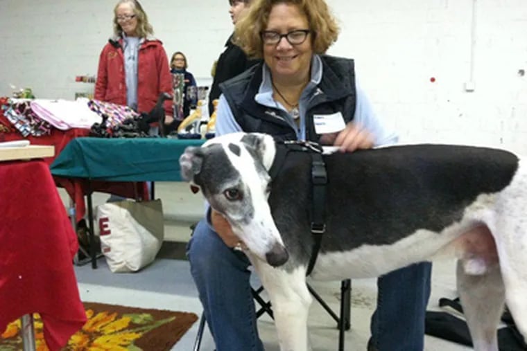 Robin Miller of Philadelphia, with Abe, adopted from Pennsauken's Greyhound Angels. (Kevin Riordan / Staff)