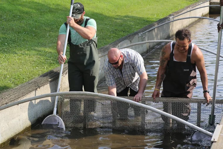 Volunteers clean up at the  Le-Hi Trout Nursery in Allentown, where a flood earlier this month killed hundreds of trout.<br/>
Jane Therese / The Morning Call.