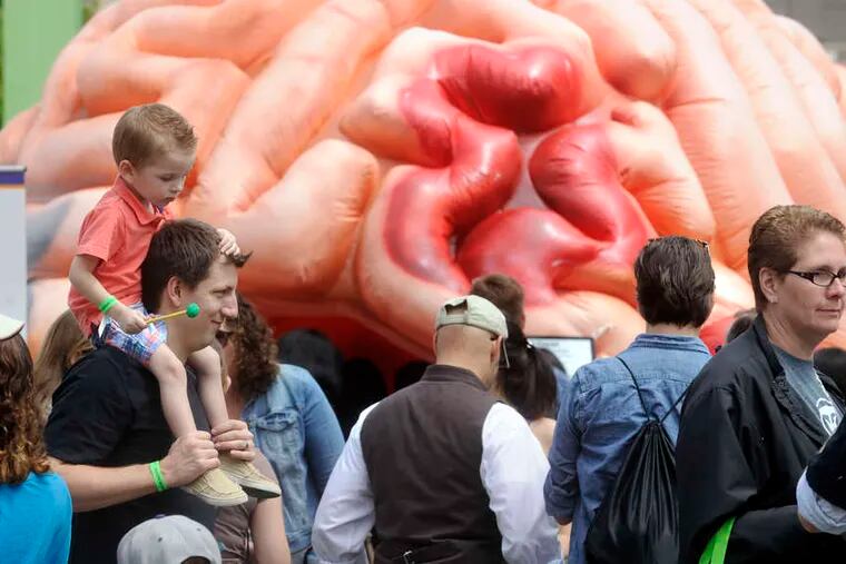 The incredible gigantic invading brain? No, a cool walk-through inflatable passed by Bennett Duffin, 3, on the shoulders of his dad, Bryan, of Upper Darby, at the Philadelphia Science Festival carnival on the Parkway.