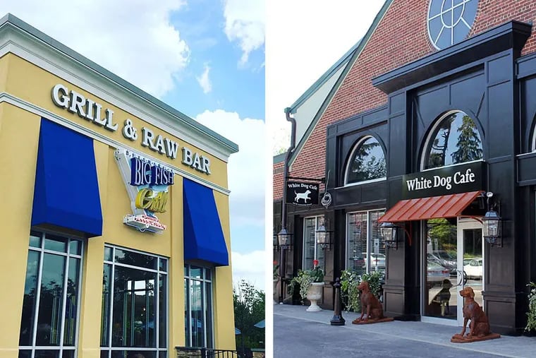 Big Fish Grill in Glen Mills will yield its location to White Dog Cafe, whose Haverford location is shown.