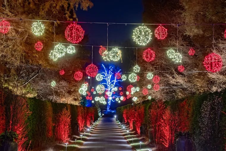 A Longwood Christmas is a world unto itself, with lighted trees, a grand fountain show, and outdoor decor galore, including along Flower Garden Drive.