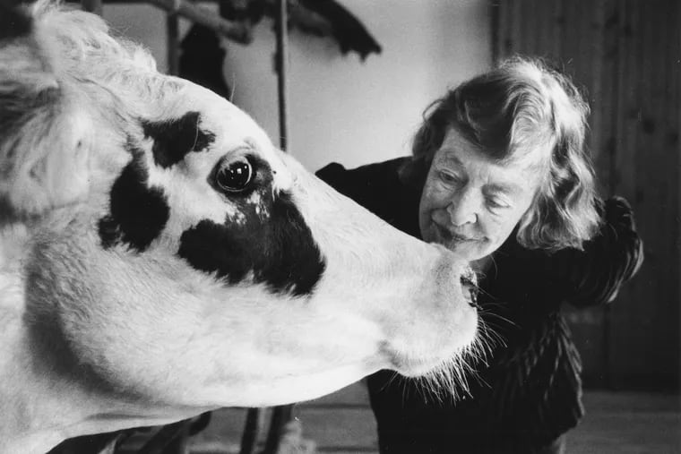 Helen Hope Montgomery Scott leans down to give a kiss to one of her beloved dairy cows. Before her death in 1995, Scott oversaw a herd of up to 340 cows at Ardrossan. Now, a smaller herd helps newer residents there qualify for tax breaks.