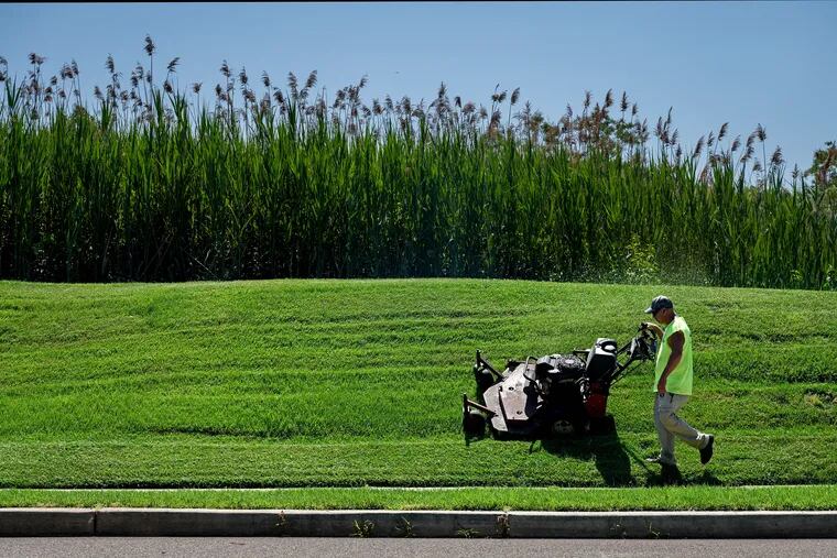 June 20:2022: A new angle on mowing the lawn: Hillside grass cutting along Cropwell Road in Cherry Hill.