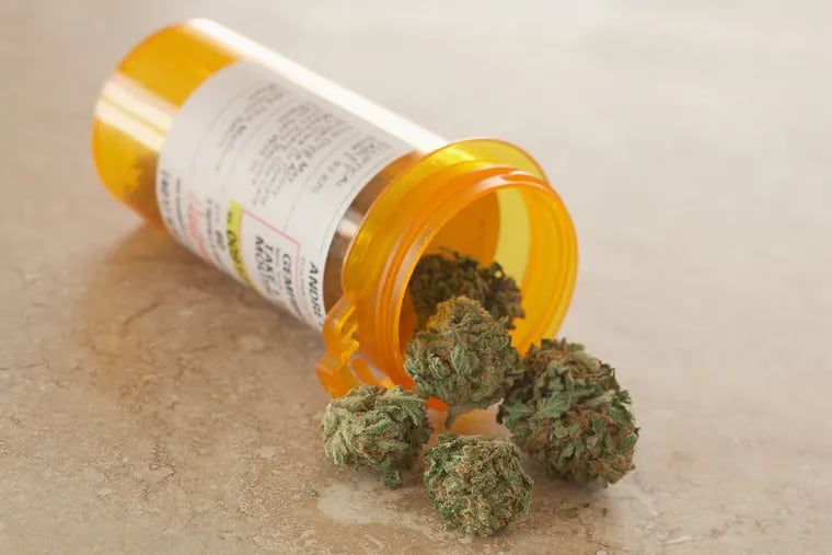 Medical marijuana in a prescription bottle. Gov. Phil Murphy said Wednesday his administration has added opioid addiction to the list of eligible illnesses in New Jersey's medical marijuana program as part of a new push to combat the state's drug crisis. (Dreamstime/TNS)