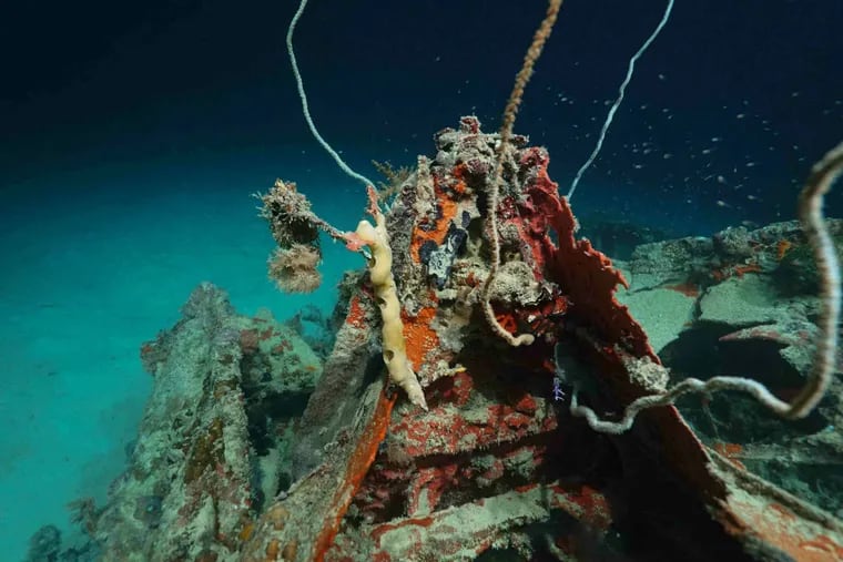 Covered in coral and algae and twisted by the force of its downing off the Pacific island of Palau, the TBM-1C Avenger was hardly recognizable from its war days. A searcher says the finds can be “pretty emotional.”