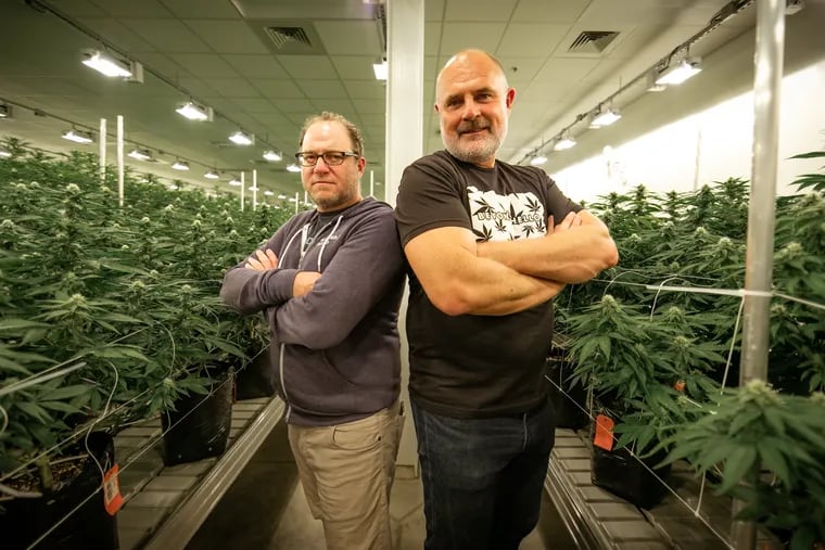 Jushi CEO Jim Cacioppo with company president Erich Mauff at their marijuana grow facility.