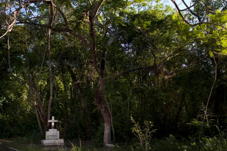 A Cruzeiro das Almas sits in a forested area at an Umbanda house of worship in Sao Goncalo, Brazil. Intolerance and outright hostility have recently returned to target Umbanda, as well as Brazil's other major African-descended religion, Candomble.
