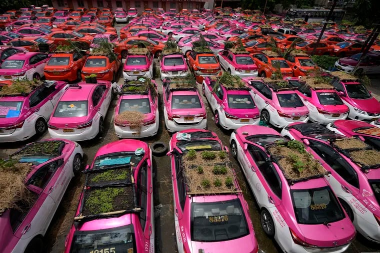 Miniature gardens are planted on the rooftops of unused taxis parked in Bangkok, Thailand, Thursday, Sept. 16, 2021. Taxi fleets in Thailand are giving new meaning to the term "rooftop garden," as they utilize the roofs of cabs idled by the coronavirus crisis to serve as small vegetable plots and raise awareness about the plight of out of work drivers. (AP Photo/Sakchai Lalit)