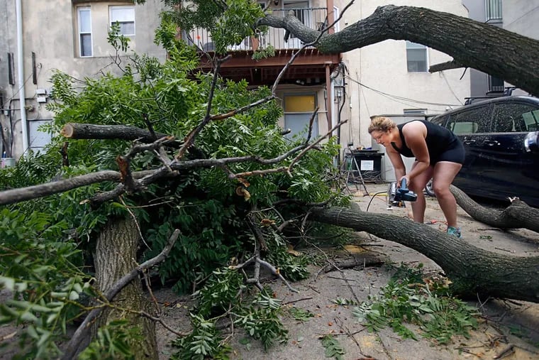 Jennifer Shaw, who lives on the 1500 block of Rodman Street, uses a circular saw to cut the large branches off the very large tree that fell from in front of her row house on June 8, 2016.