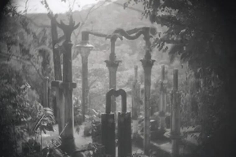 Art | Photographers coaxing meaning from the garden