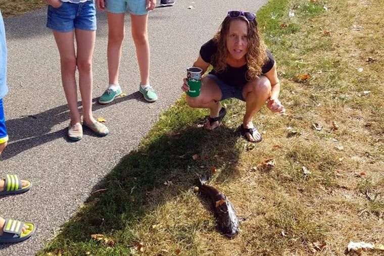 Lisa Lobree and the catfish that she says struck her in the face while she was walking in Fairmount Park on Labor Day.