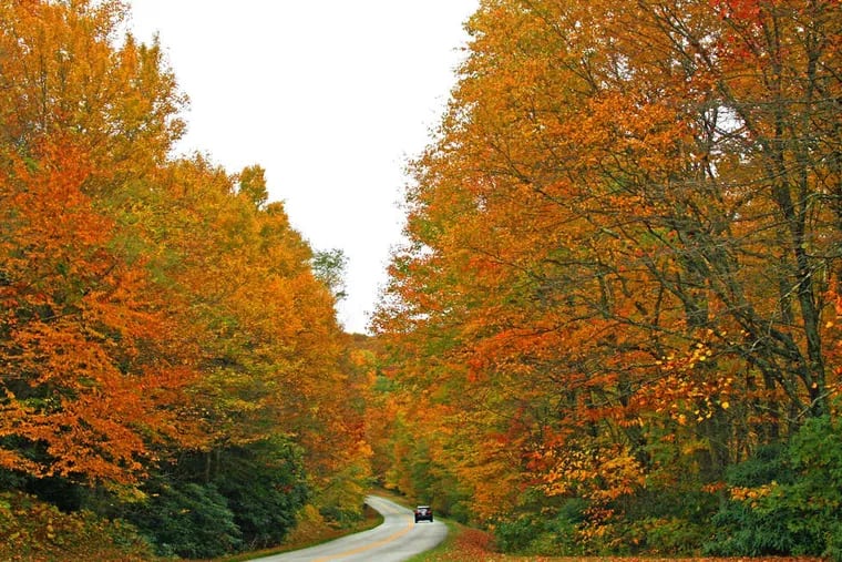 Late-season fall foliage on the Blue Ridge Parkway in November 2018; the peak colors have been lasting longer.