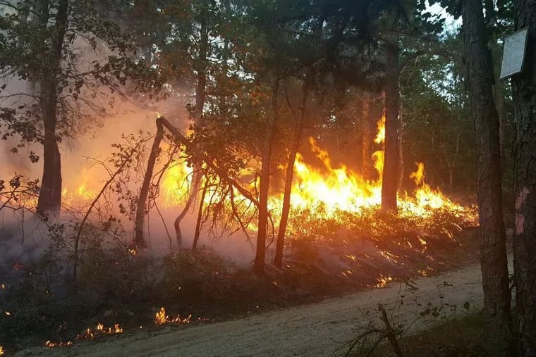 A fire burns in Wharton State Forest on Thursday, July 20, 2017