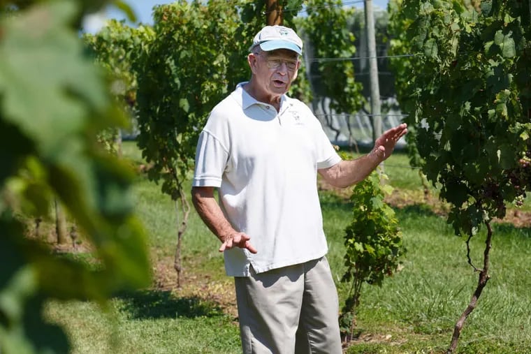 Darvin Levengood walks the grounds of his Berks County winery. The spotted lanternfly arrived in Berks in 2014 and has spread to five other counties.