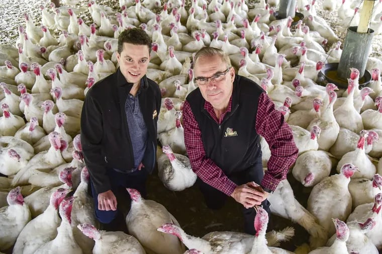 David Jaindl (right),  owner of Jaindl family companies near Allentown, and his son Adam, 31, a vice president in  Jaindl Land Co., hang with the birds in one of the barns on their turkey farm.