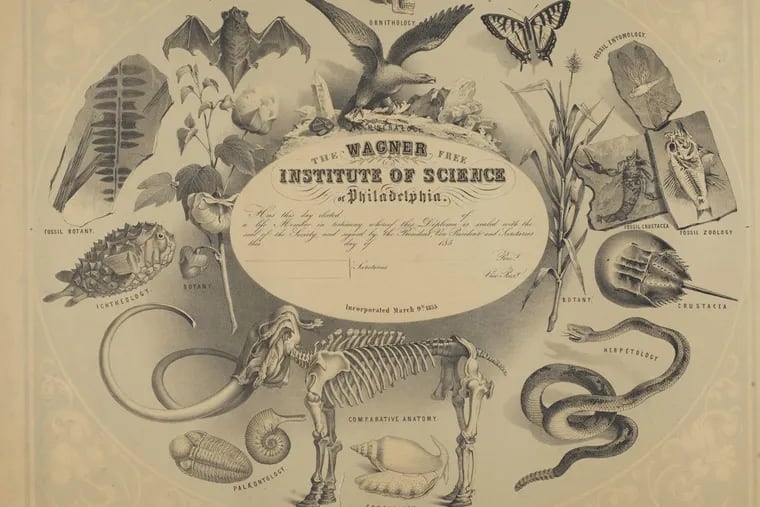 Wagner Free Institute of Science of Philadelphia membership certificate, (1855).