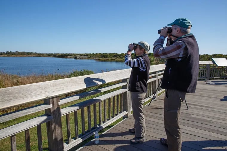 (Left to Right) Ruth and Gary Davis, birdwatchers at Hawk Watch Platform, Cape May Point State Park, Friday, Oct. 27, 2017. Watchers are saying this is a particularly good year. JESSICA GRIFFIN / Staff Photographer