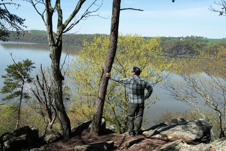 Fritz Schroeder, president and CEO of Lancaster Conservancy, takes in the view of the Susquehanna River from a rocky outcrop on the Mason-Dixon trail pictured Tuesday in Chanceford Township, Pa. This area falls within the boundaries of a proposed Cuffs Run pumped storage facility project area, and could be permanently altered if the project is approved.