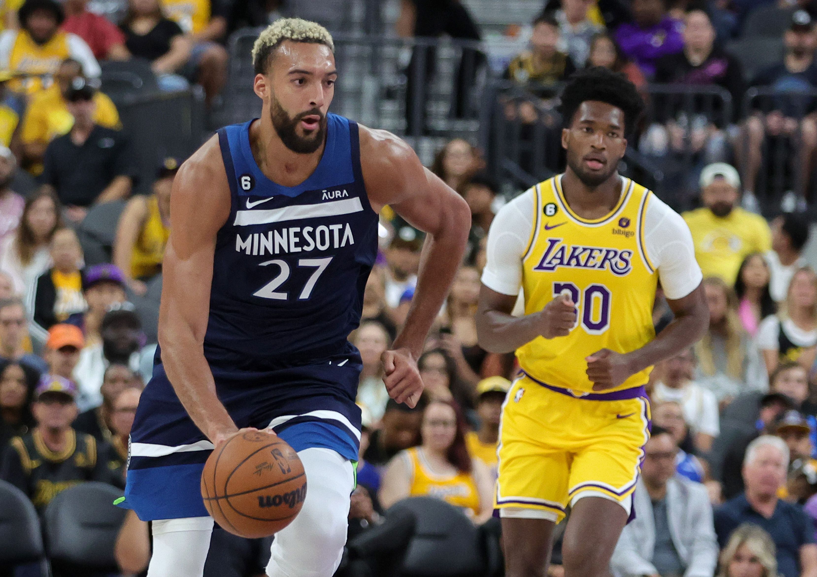 Lakers vs. Timberwolves odds, line, spread: 2021 NBA picks, Feb