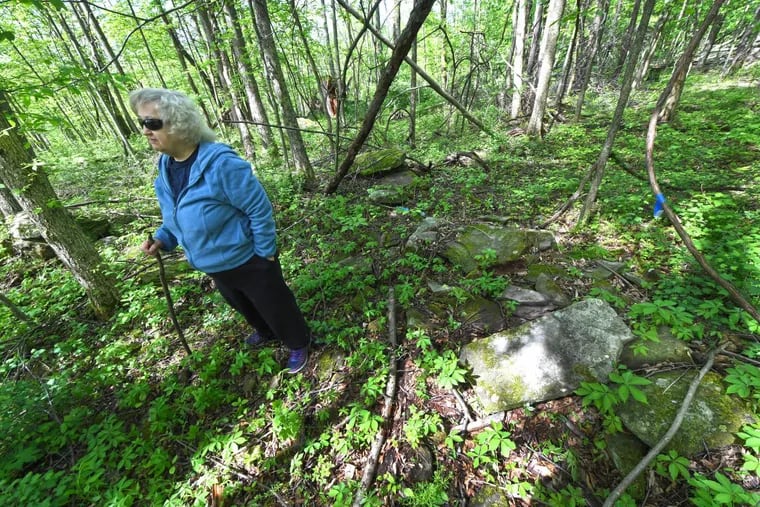 Rose Mary Knick stands to the left of several large stones and rocks placed in her 90 acre property in Lackawanna County, Pa.