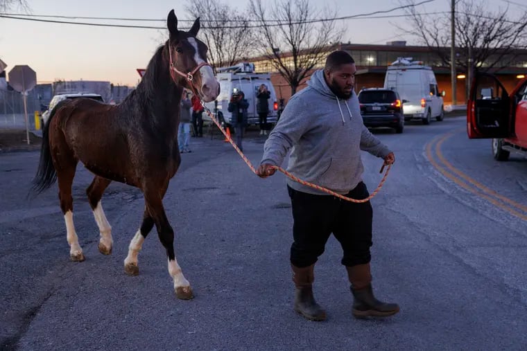 A rogue horse was spotted galloping on I-95 between the Girard and Allegheny Avenue exits early Tuesday morning before getting recaptured.