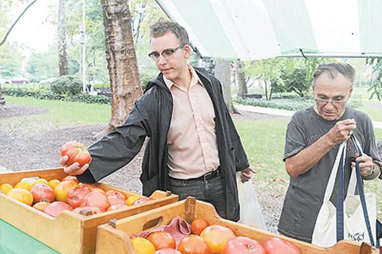 Bench Ansfield, a Philly Food Bucks user, picks up a tomato at Clark Park in West Philadelphia. (Clem Murray / Staff Photographer)