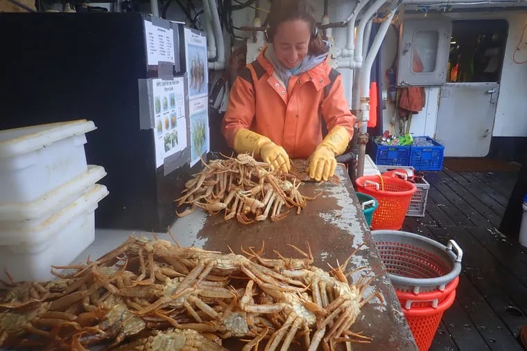 Alaska snow crab season canceled for 2022: Philadelphia seafood impact
