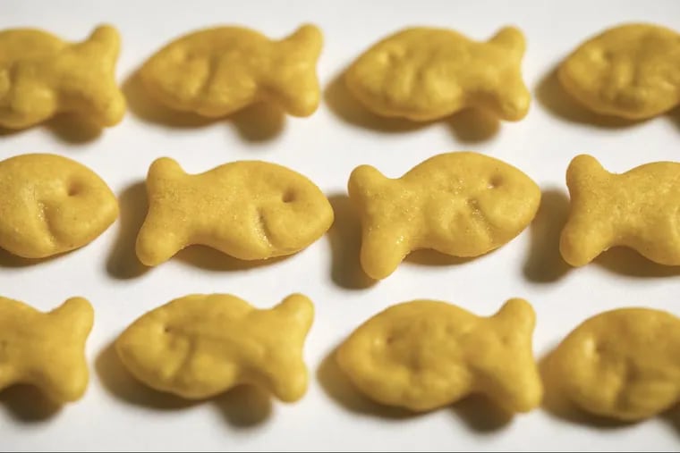 The popular Goldfish cracker from Pepperidge Farms is the latest snack to be recalled for potential Salmonella contamination.