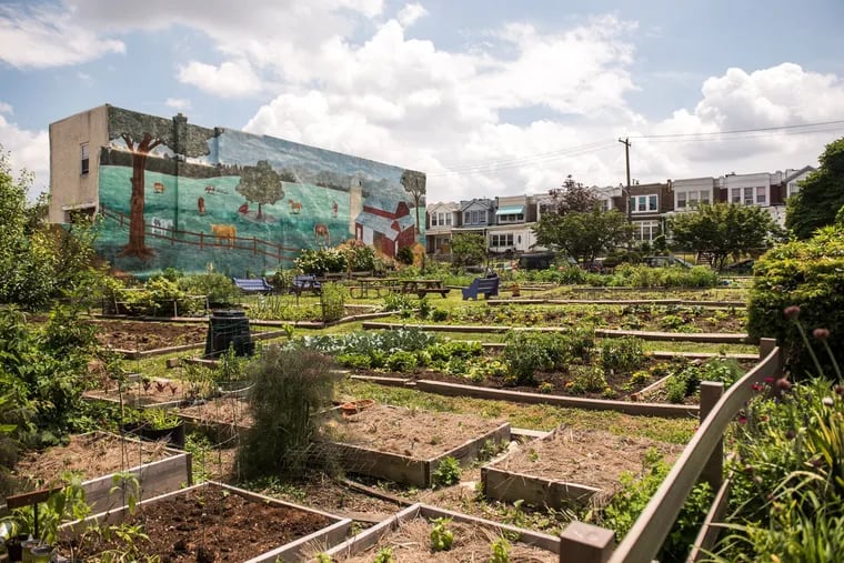 Plots at West Philadelphia's Aspen Farms. What should you do with those empty spaces? Fill them with seeds and starters, of course. It’s not too late to plan for a fruitful fall harvest.