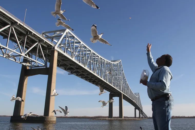 File photo: Jerome Morsell of Falls River, Va., feeds the seagulls at the base of the Commodore Barry Bridge in Chester.